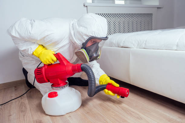Best Cockroach Control Services  in Scottsville, KY