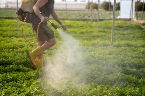 Best Pest Control Near Me in Scottsville, KY