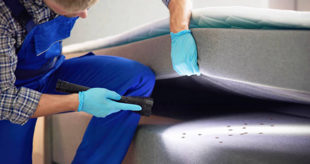 Best Exterminator Services  in Scottsville, KY