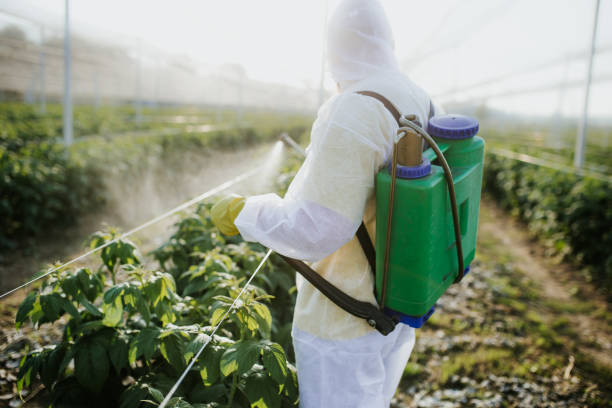 Best Pest Inspection Near Me  in Scottsville, KY